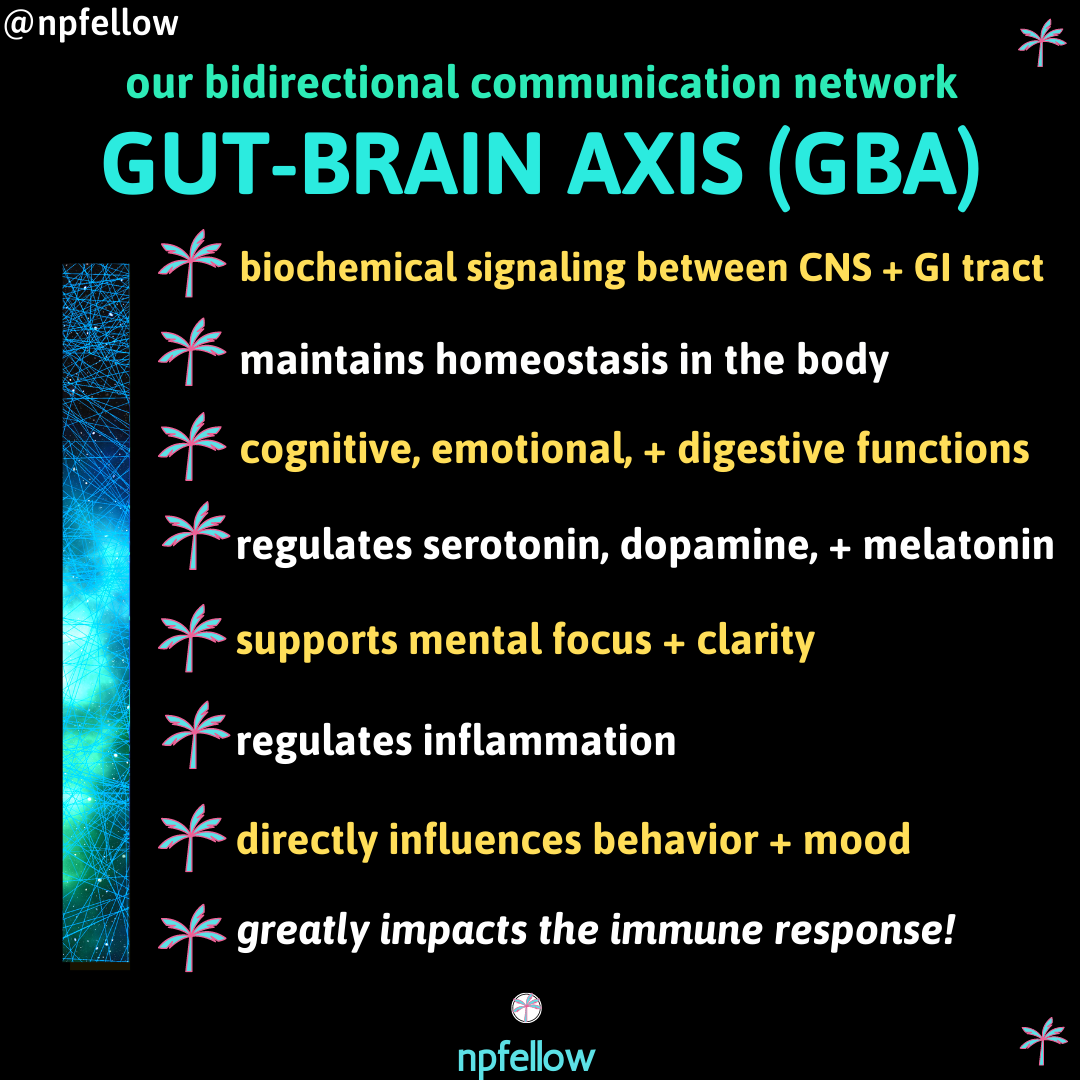 The Gut Brain Axis Gba