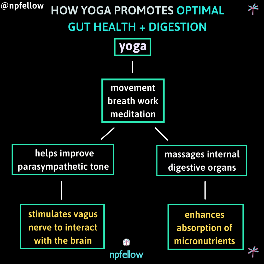 How Yoga Promotes Optimal Digestion & Gut Health