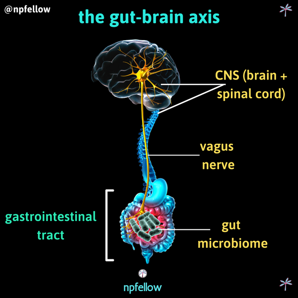 The Gut-Brain Axis (GBA)