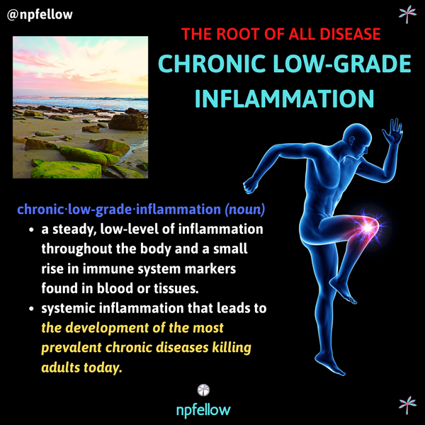 The Root of All Disease: Chronic Low-Grade Inflammation