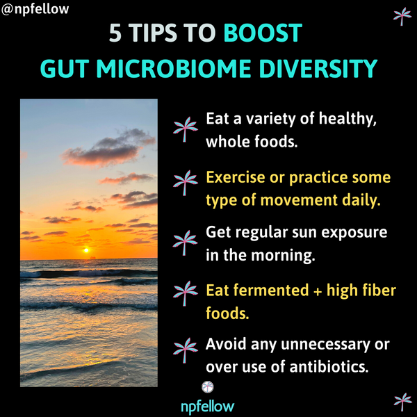 How to Boost Gut Microbiome Diversity