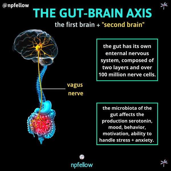 The Gut-Brain Axis + The Gut Microbiome