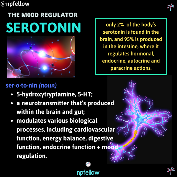 Serotonin: The Mood Regulator