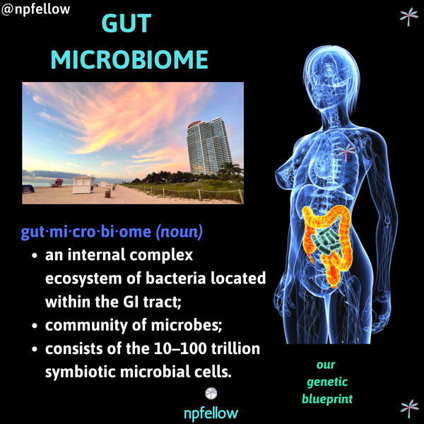 The Gut Microbiome