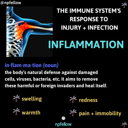 Inflammation: The Immune System's Response to Injury + Infection